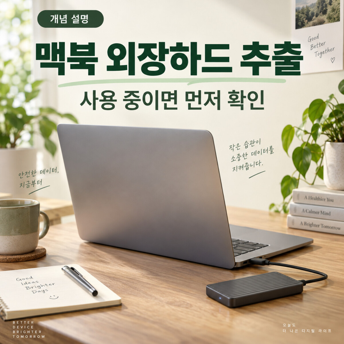 본문 이미지 1