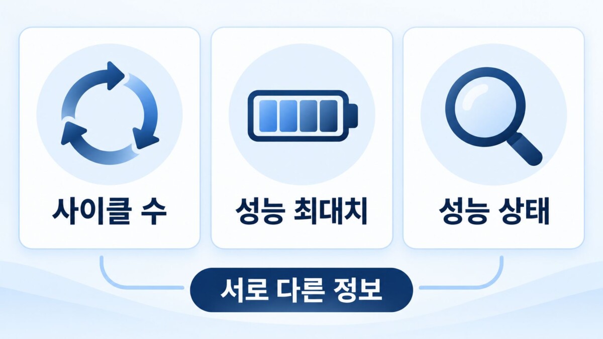 세 정보 구분